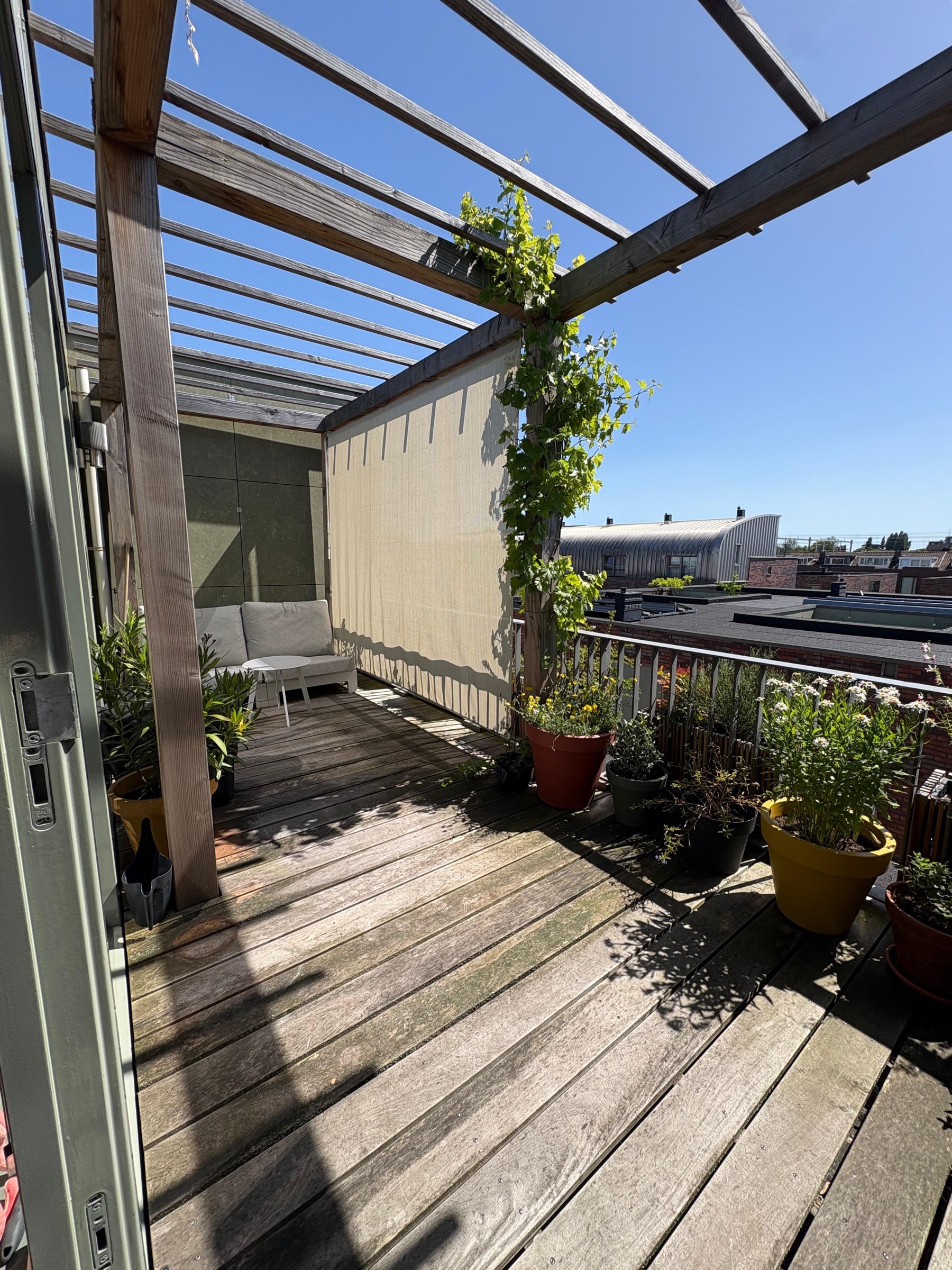 Referentiebeeld: pergola met schaduwdoek en druif aan de Zeemeeuwhof